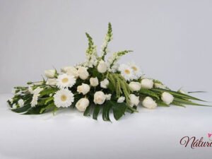Cubierta floral.