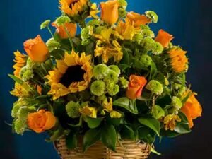Girasoles de Reconocimiento
