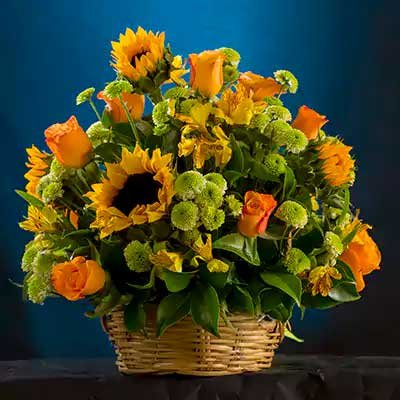 Girasoles de Reconocimiento