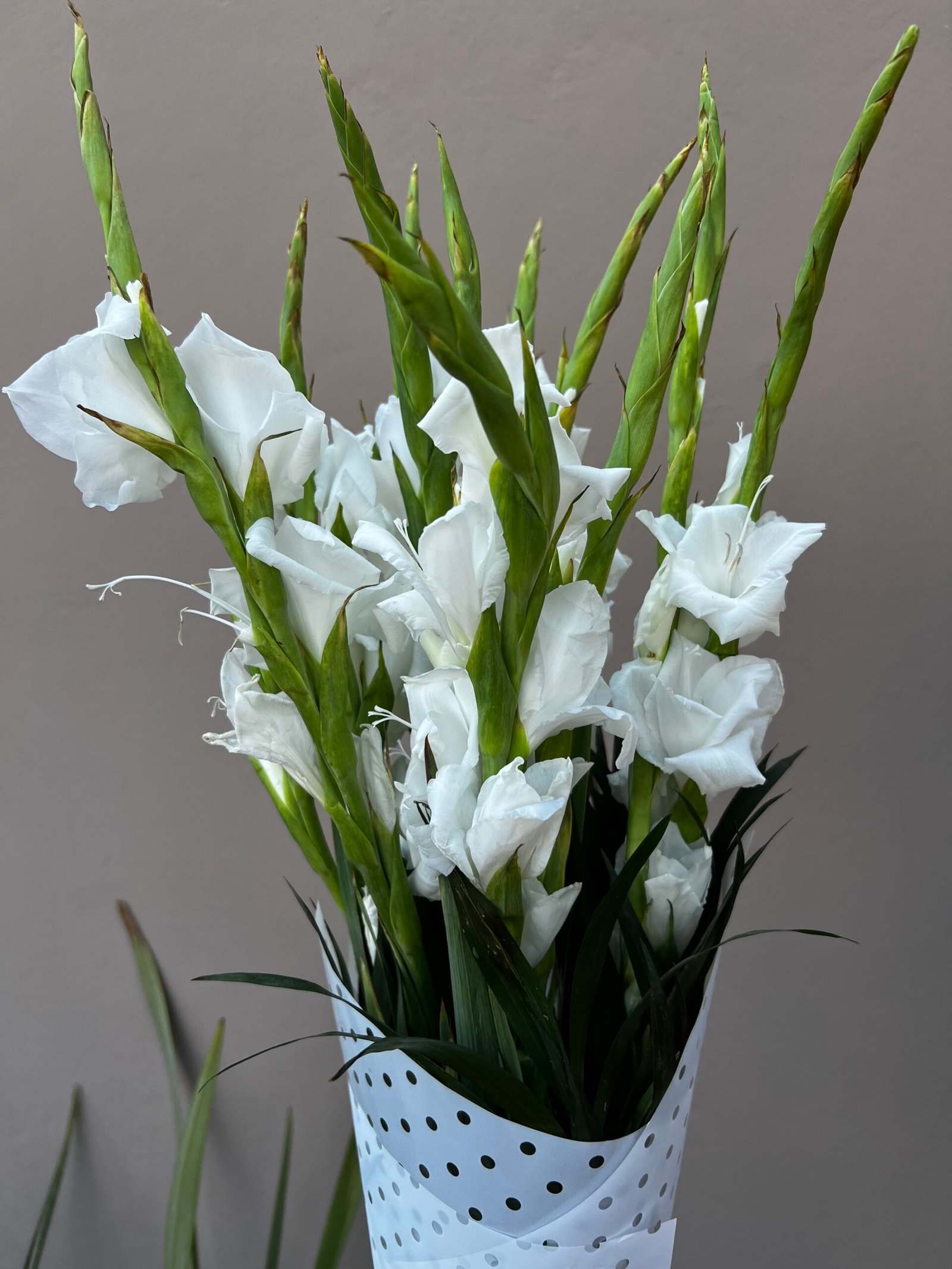 Ramo de Gladiolas