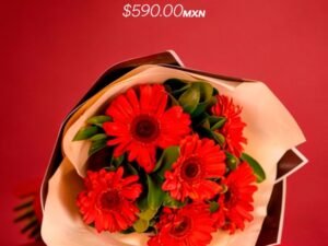 Gerberas De Amor