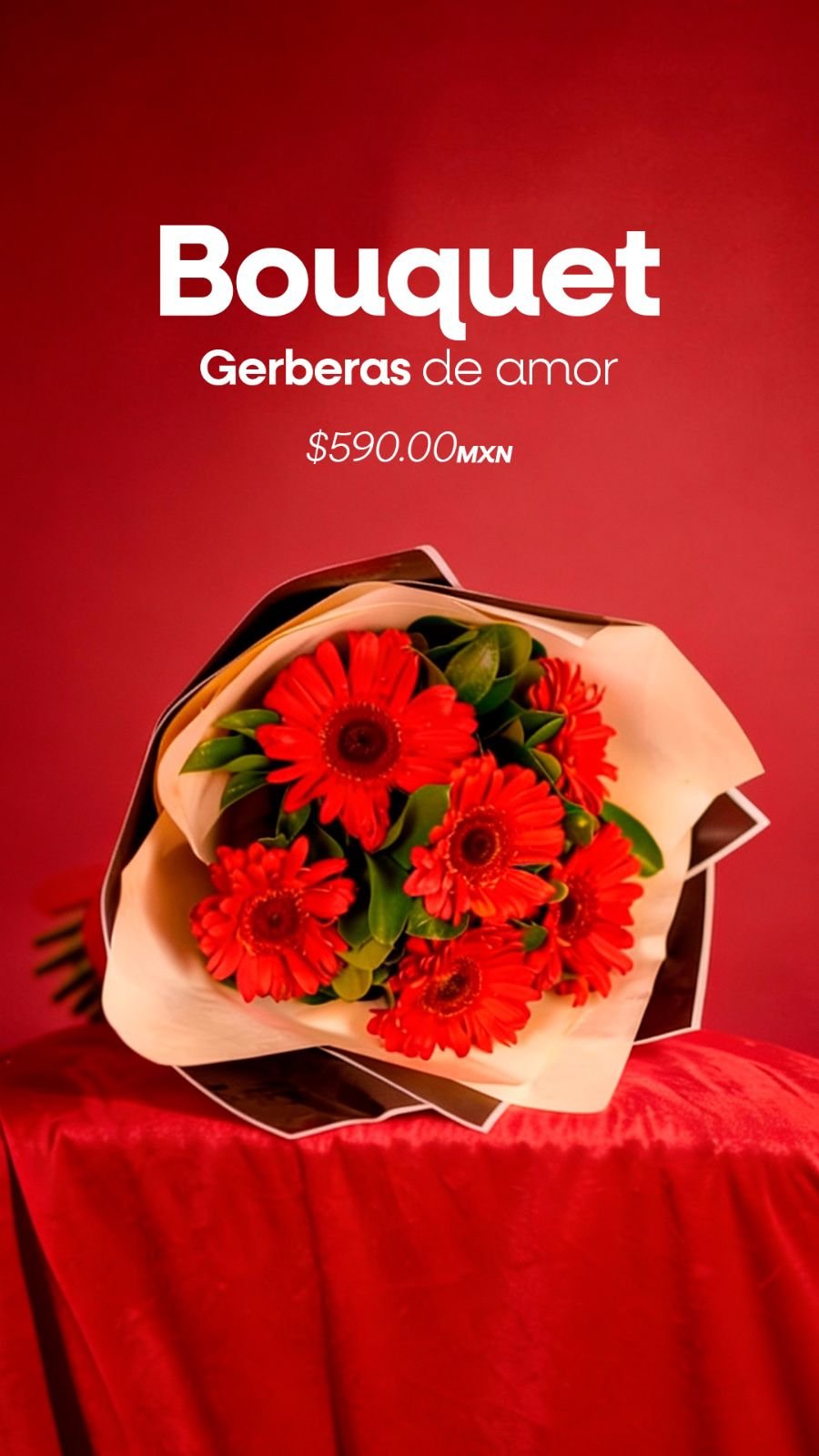 Gerberas De Amor