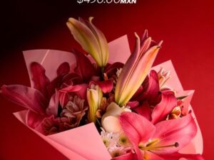 Jardin Del Amor