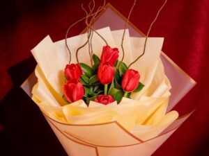 Tulipanes De Amor