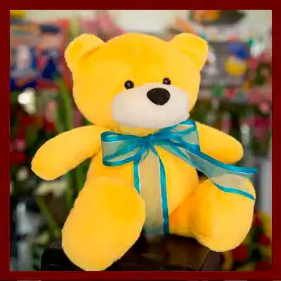 Oso Teddy