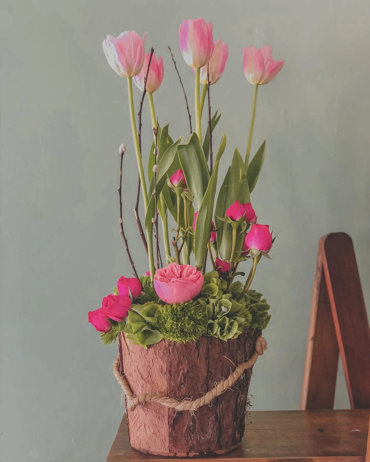 Maceta sueño de tulipanes